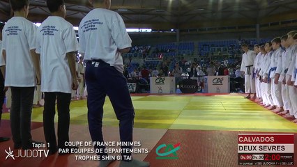 TAPIS 1 - COUPE DE FRANCE MINIMES PAR EQUIPES DE DEPARTEMENTS TROPHEE SHIN GI TAI CREDIT AGRICOLE 2018 - LIVE 2 (213)