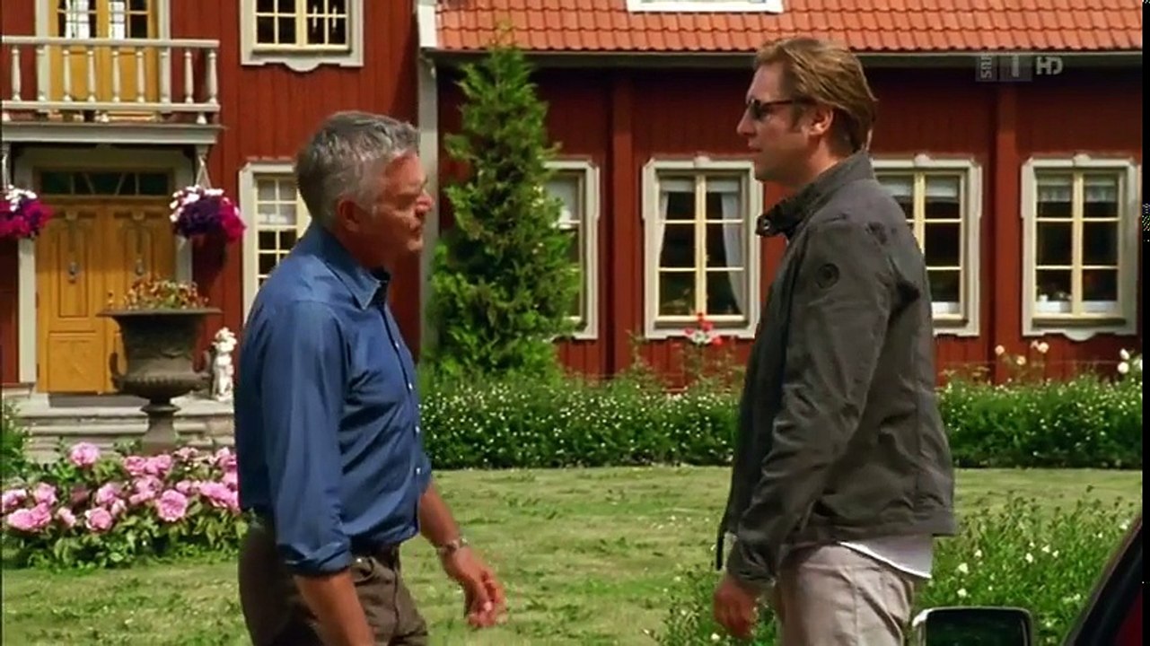 Das Erbe von Granlunda Liebesfilm D 2009 cut part 1/2