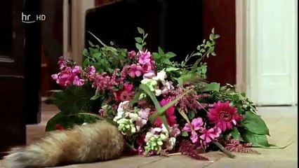 Was glücklich macht Liebeskomödie, D 2009 part 2/2