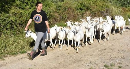 İtalyanca ve İngilizce Bilen "Nişantaşı Kızı" Köyde Keçi Yetiştiriciliği Yapıyor