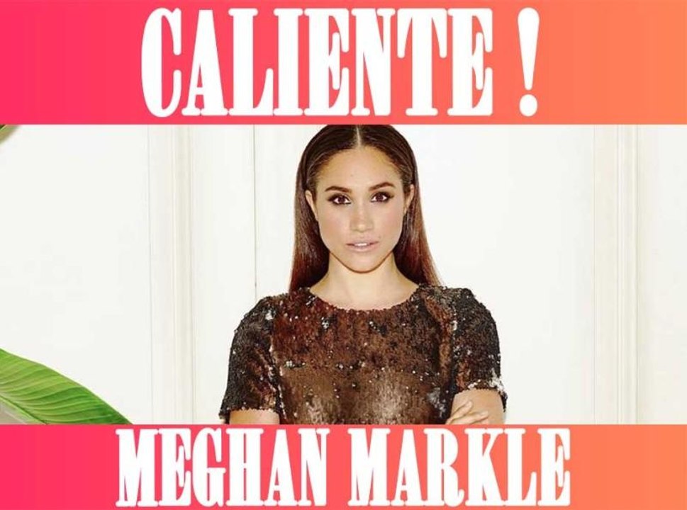 Meghan Markle : La future épouse du prince Harr...