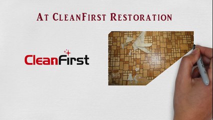 Mold Removal in Toronto