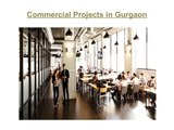 Commercial Office Space in Gurgaon