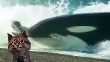 Косатка | Познавательное видео для детей про животных | Семен Ученый |