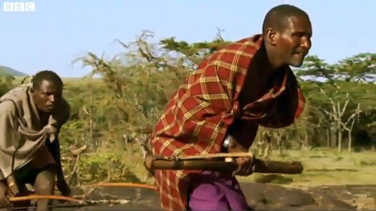 Men steal meat from Lion  2018