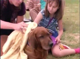 VR Troopers - Eps.08