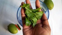 ইফতারের জন্য কাঁচা আমের স্পেশাল শরবত/Green Mango Juice Recipe | Kacha Amer Shorbot Recipe