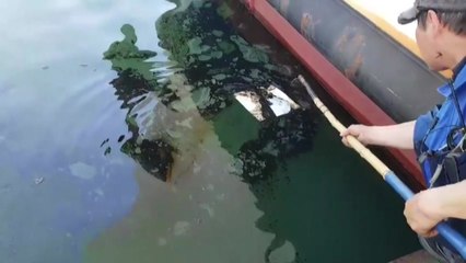 백령도서 급유하던 화물선 기름 유출 / YTN