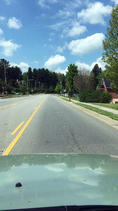 Turkeys Chase Cyclist