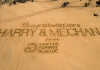 Charity Recognized by Royal Couple Highlights Plastic Pollution in Elaborate Wedding Message