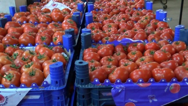 Ali Çiloğlu: “ Bir pazarcıdan yüzde 8 KDV alınırken bir kurumsal firmaya yüzde 1 uygulanması yanlış bir uygulama”