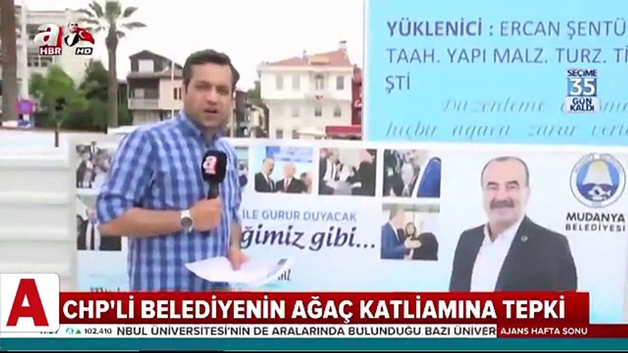CHPli Belediye asırlık ağaçları kesti