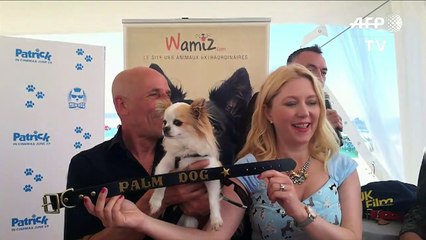 Cannes: le casting canin de "Dogman" récompensé par la Palm Dog