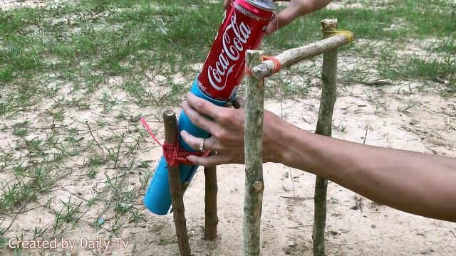 Simple Bird Trap using 330ml COCA COLA and Pipe - How to Make DIY Bird Trap using COCA COLA and Pipe