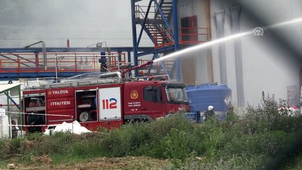 Kimya fabrikasında yangın - YALOVA