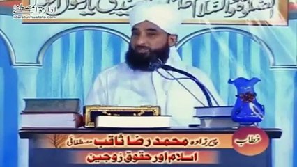 Muhammad Raza Saqib Mustafai (430)