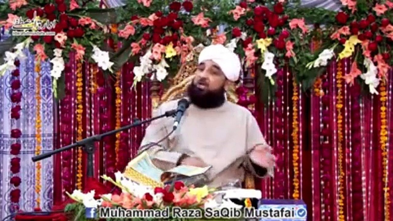 Muhammad Raza Saqib Mustafai (439)
