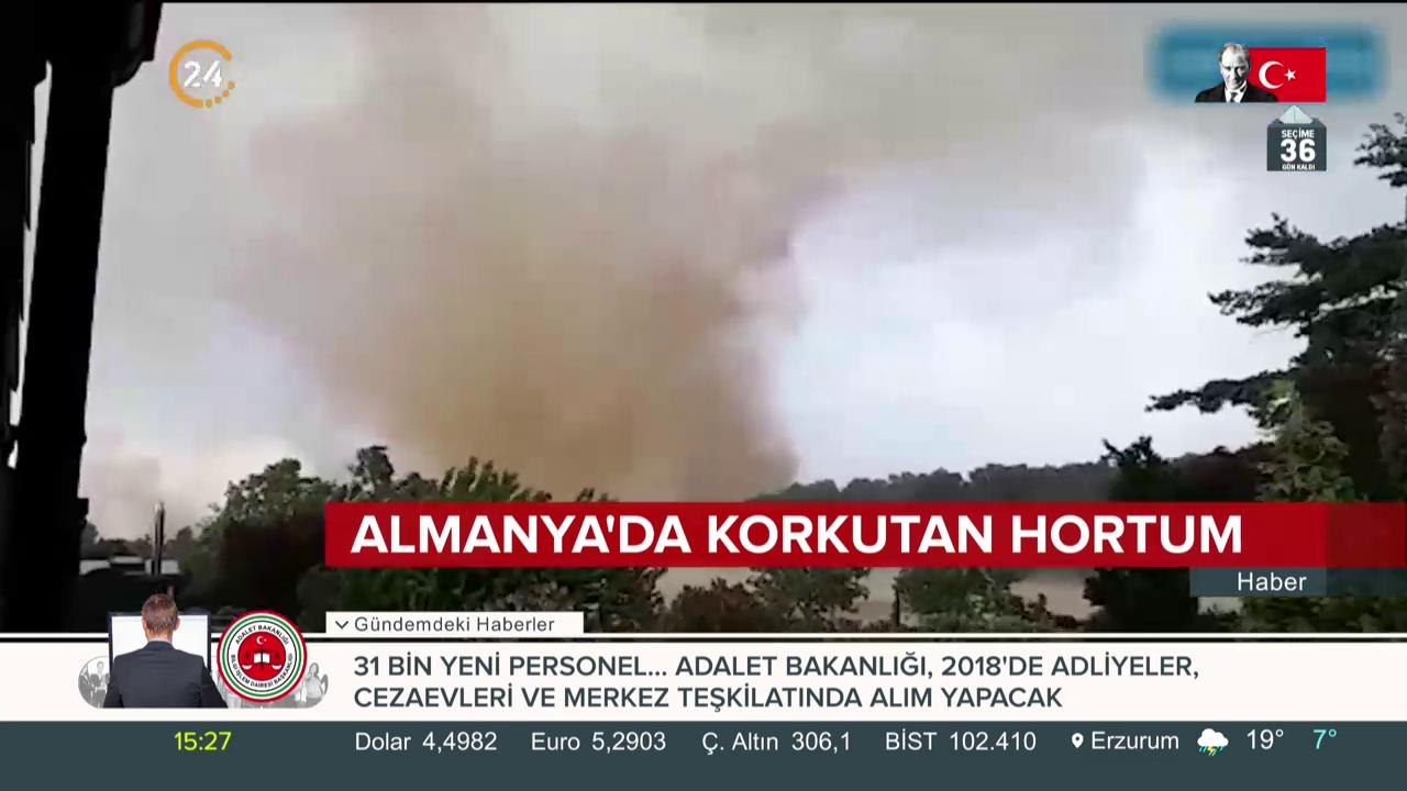 Ağaçlar devrildi