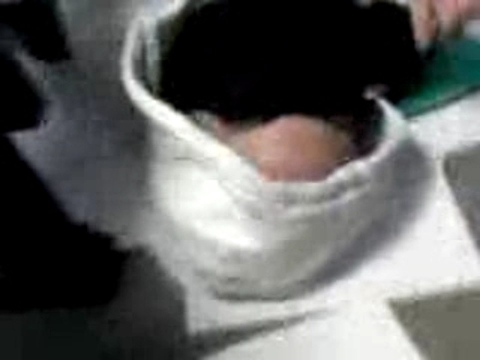 trieur en miette finit par terre mdr