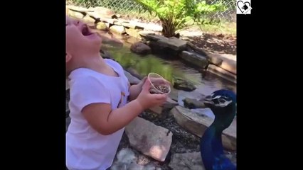 It's impossible not to love them