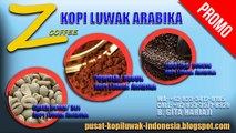 MURNI!!!, WA: +62 823-3412-0185, Kopi Luwak Arabika Murni Bondowoso