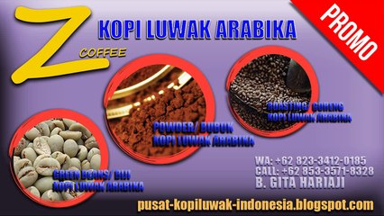 LUAR BIASA!!!, WA: +62 823-3412-0185, Kopi Luwak Arabika Murni Bondowoso