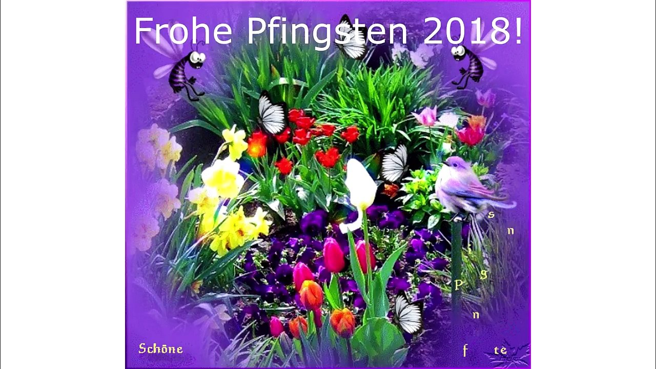 Pfingstgrüße - Schöne Pfingsten 2018 ! - Frohe Pfingsten ! - Whatsapp Grüße !