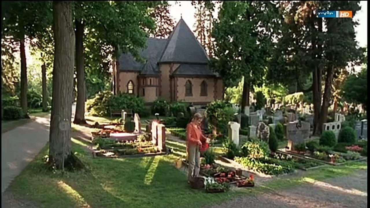 Verbotenes Verlangen Ich liebe meinen Schüler Liebesdrama, DE 2000 part 3/3