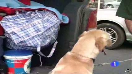 LAS PUERTAS DE LA DROGA - COMANDO ACTUALIDAD