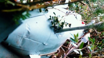 SEÑORES DE LA DROGA - EL CARTEL DE CALI