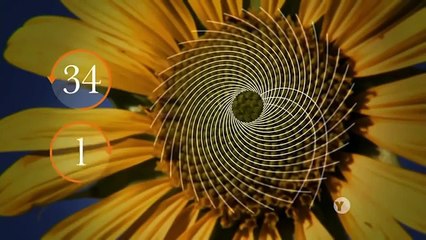 Best Documentary 2016 The Most Mysterious Things On Earth Ever