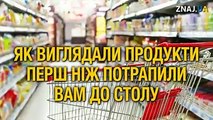 Ви будете вражені, мов діти! 