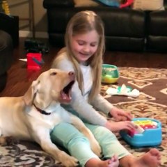 Puppies are the best!