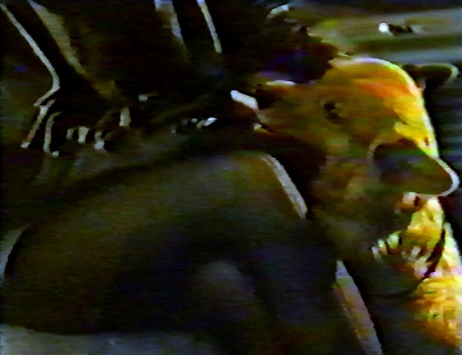 Kuutamosonaatti (1988) - VHSRip - Rychlodabing