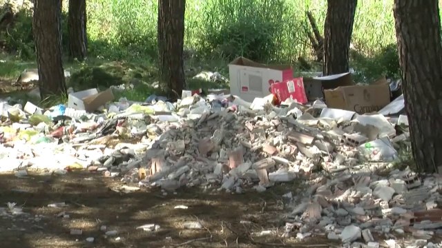 Në Lalz priten pishat e “mbillet” betoni - Top Channel Albania - News - Lajme