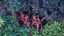 Incredible New Photos Of A Tribe Living in Total Isolation Reveal Surprises