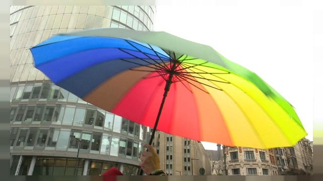 Thousands take part in Belgian Pride event
