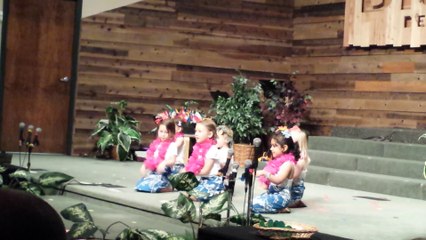 Erena 2017 Spring program