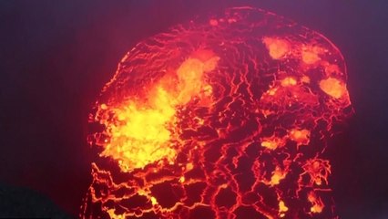 하와이 또 용암 분출... 집 4채 순식간에 꿀꺽 / YTN