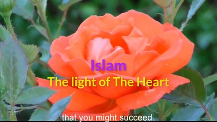 Omar Suleiman A beautiful dua of Qiyam ul Layl  by A special Woman EP 2 POP Ramadan 2018