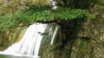 SONIDOS DE LA NATURALEZA - CHORROS DE RIOPAR -pajaros,cascadas y musica relajante