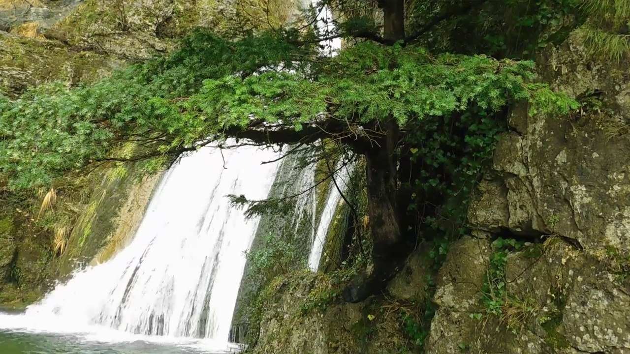 SONIDOS DE LA NATURALEZA - CHORROS DE RIOPAR -pajaros,cascadas y musica relajante