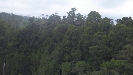 The Jungle #cari air terjun ketemu ternyata gak seperti yang diharapkan