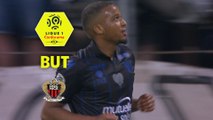 But Alassane PLEA (18ème) / Olympique Lyonnais - OGC Nice - (3-2) - (OL-OGCN) / 2017-18