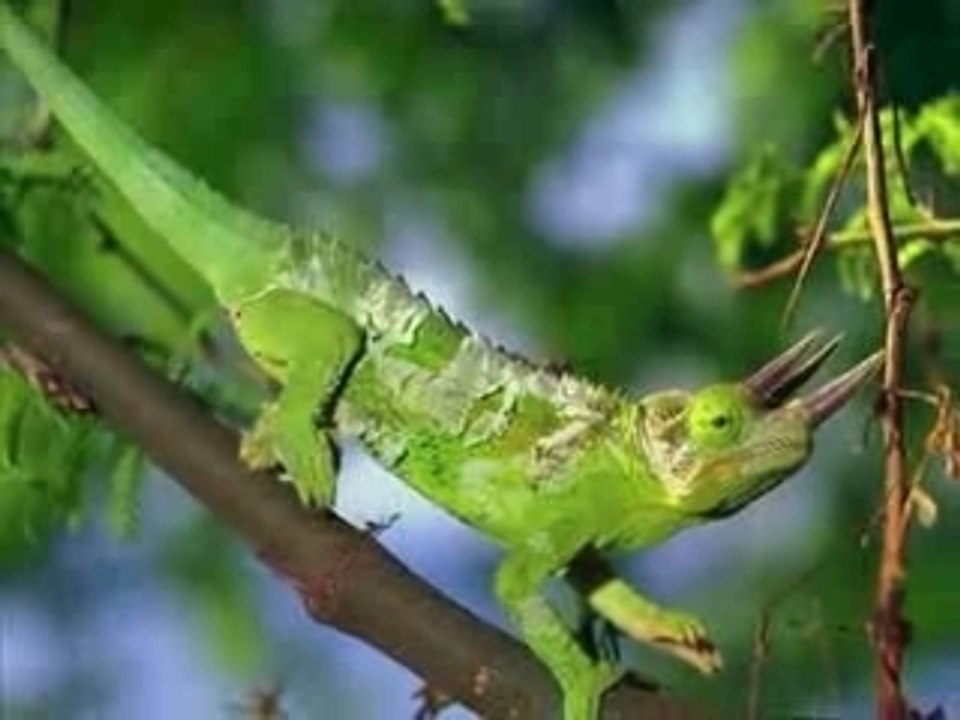 La Nature et ses merveilles ....^^