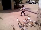 Boy cries when the chickens follow him