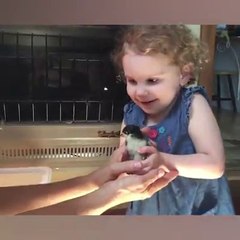 It's impossible not to love them