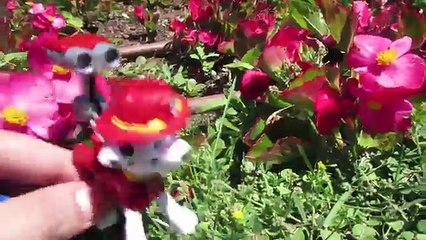 La Patrulla Canina Misión en París y Londres Marshall y Chase buscan el huevo de Peppa Pig