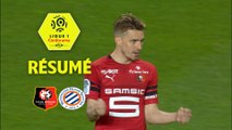 Stade Rennais FC - Montpellier Hérault SC (1-1)  - Résumé - (SRFC-MHSC) / 2017-18