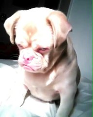 Đốt viêm lộ tuyến cổ tử cung ở đâu tốt